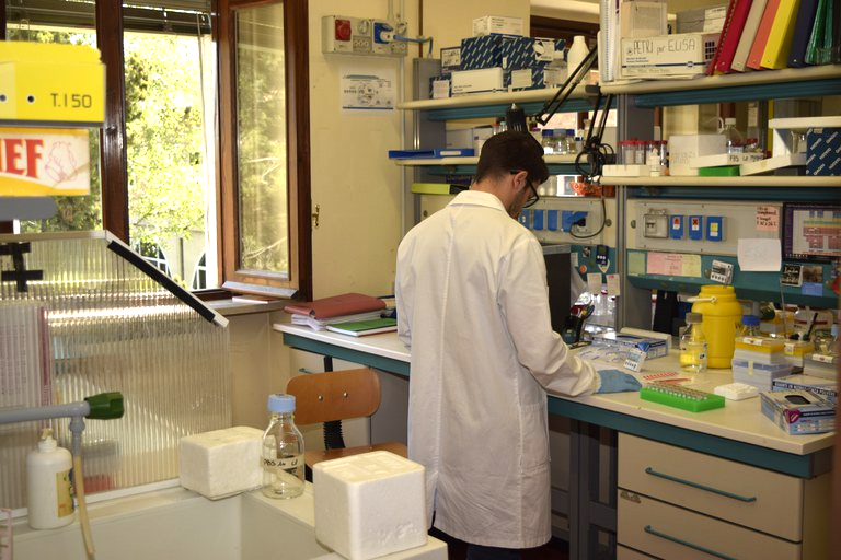 Laboratorio_Biotecnologia.png