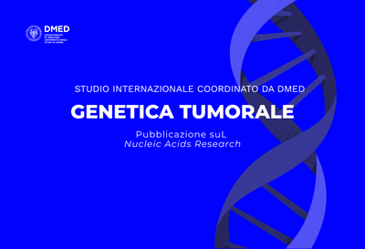 Studio internazionale guidato dal DMED svela le vulnerabilità dell'ecDNA nei tumori