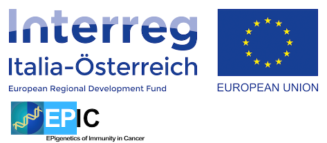 logo epic.png